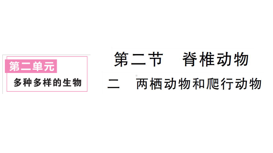 初中生物新人教版七年级上册第二单元第二章第二节二两栖动物和爬行动物作业课件2024秋.pptx_第1页