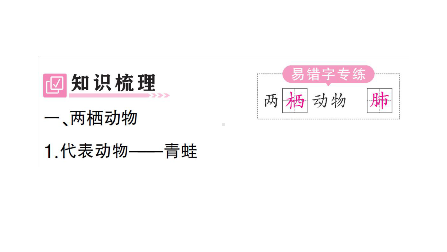 初中生物新人教版七年级上册第二单元第二章第二节二两栖动物和爬行动物作业课件2024秋.pptx_第2页