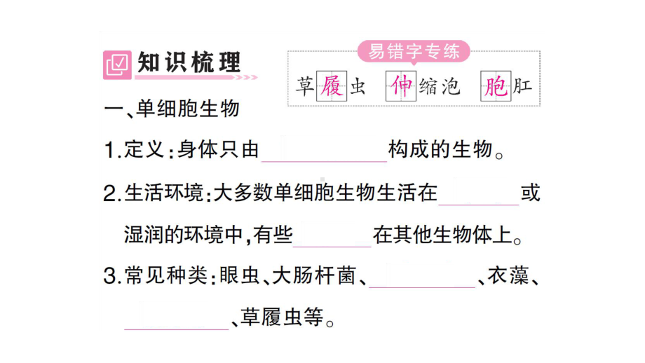 初中生物新人教版七年级上册第一单元第三章第四节 单细胞生物作业课件2024秋.pptx_第2页