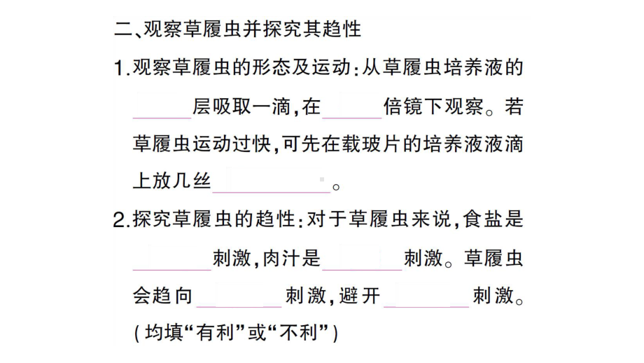 初中生物新人教版七年级上册第一单元第三章第四节 单细胞生物作业课件2024秋.pptx_第3页