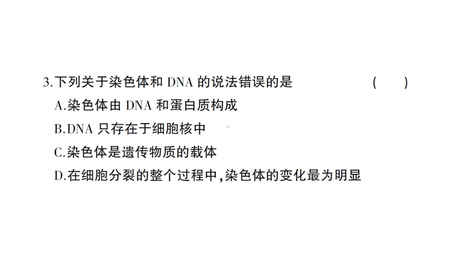 初中生物新人教版七年级上册第一单元第三章 从细胞到生物体综合训练作业课件2024秋.pptx_第3页