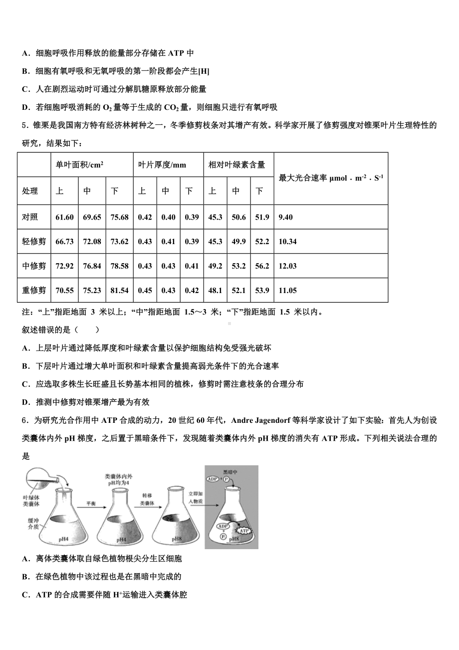 2022-2023学年山东省潍坊市第七中学高三下学期联考生物试题含解析.doc_第2页