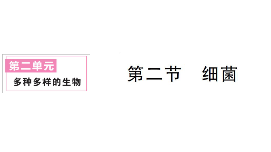 初中生物新人教版七年级上册第二单元第三章第二节 细菌作业课件2024秋.pptx_第1页