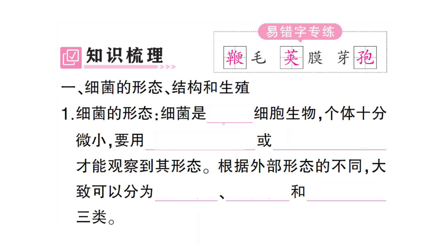 初中生物新人教版七年级上册第二单元第三章第二节 细菌作业课件2024秋.pptx_第2页