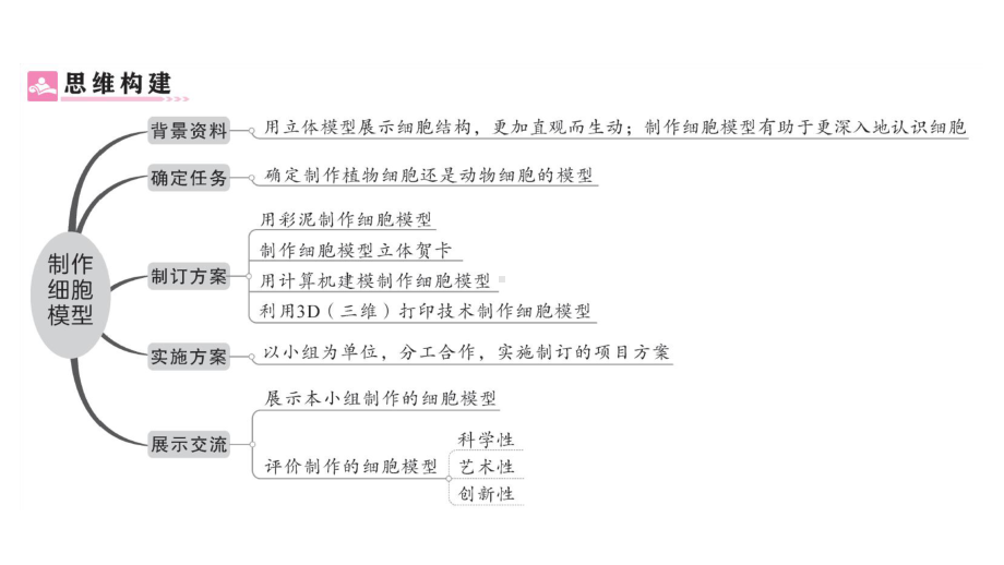 初中生物新人教版七年级上册第一单元第三章综合实践项目 制作细胞模型作业课件2024秋.pptx_第2页