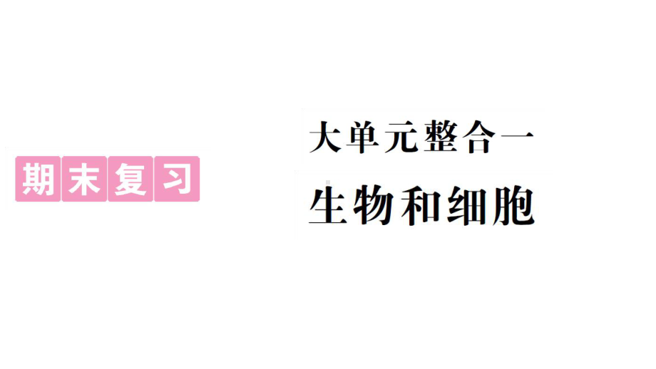 初中生物新人教版七年级上册期末大单元整合一 生物和细胞作业课件2024秋.pptx_第1页