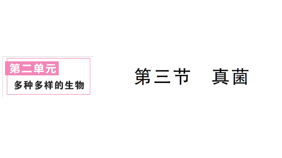 初中生物新人教版七年级上册第二单元第三章第三节 真菌作业课件2024秋.pptx_第1页