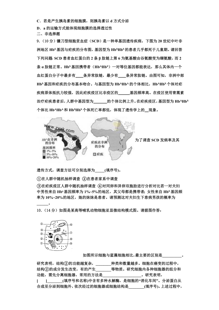 2024届江苏省南通市通州区海安县高一生物第一学期期末教学质量检测模拟试题含解析.doc_第3页