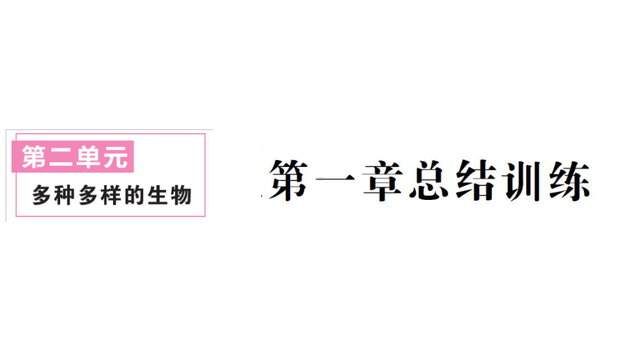 初中生物新人教版七年级上册第二单元第一章 植物的类群总结训练作业课件2024秋.pptx_第1页