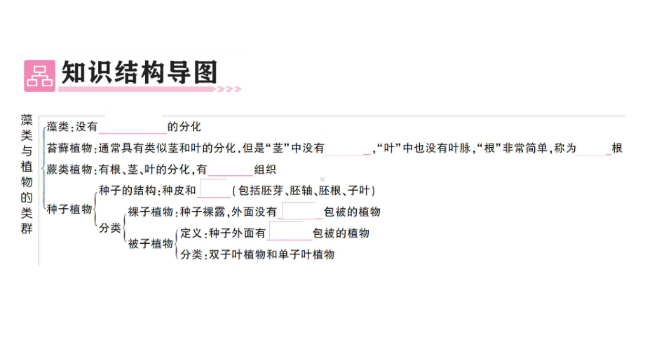 初中生物新人教版七年级上册第二单元第一章 植物的类群总结训练作业课件2024秋.pptx_第2页