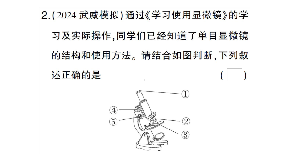 初中生物新人教版七年级上册第一单元第二章微专题一 显微镜与细胞作业课件2024秋.pptx_第3页