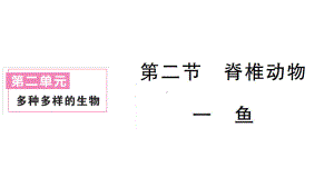 初中生物新人教版七年级上册第二单元第二章第二节一鱼作业课件2024秋.pptx