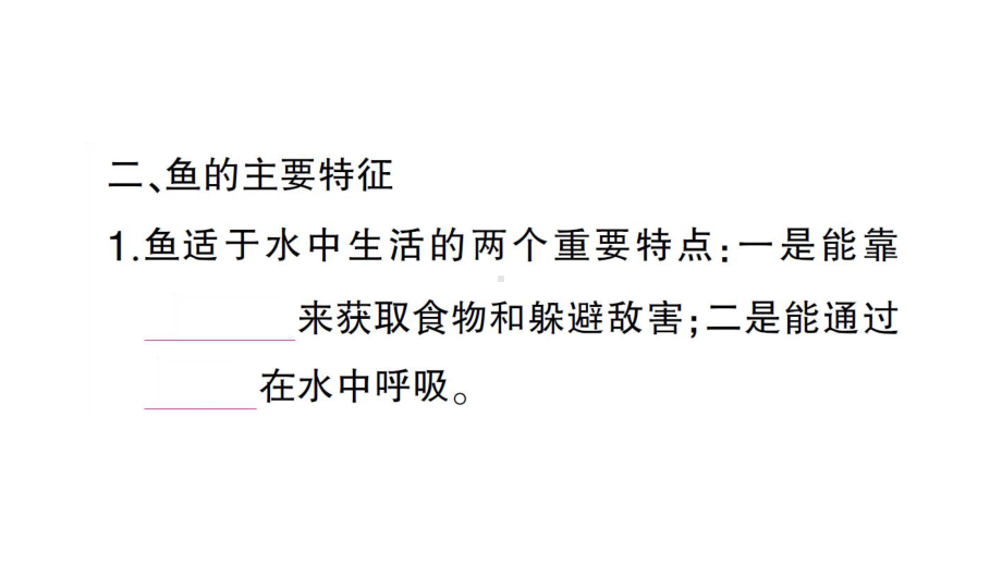 初中生物新人教版七年级上册第二单元第二章第二节一鱼作业课件2024秋.pptx_第3页