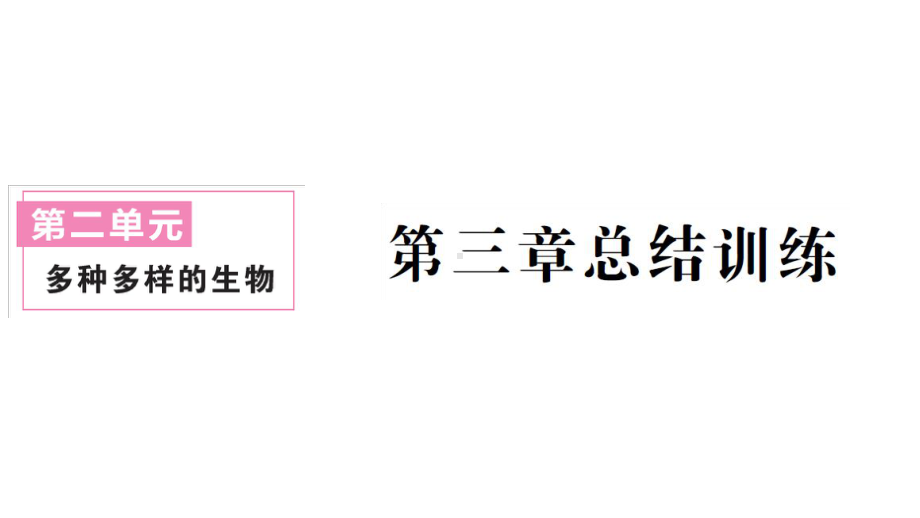 初中生物新人教版七年级上册第二单元第三章 微生物总结训练作业课件2024秋.pptx_第1页