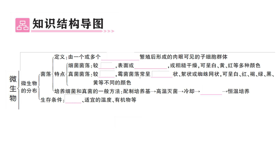 初中生物新人教版七年级上册第二单元第三章 微生物总结训练作业课件2024秋.pptx_第2页