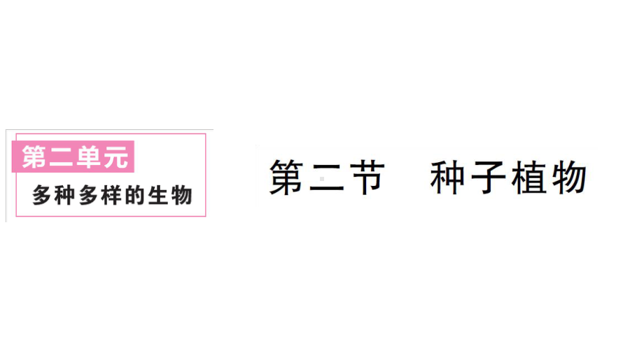 初中生物新人教版七年级上册第二单元第一章第二节 种子植物作业课件2024秋.pptx_第1页