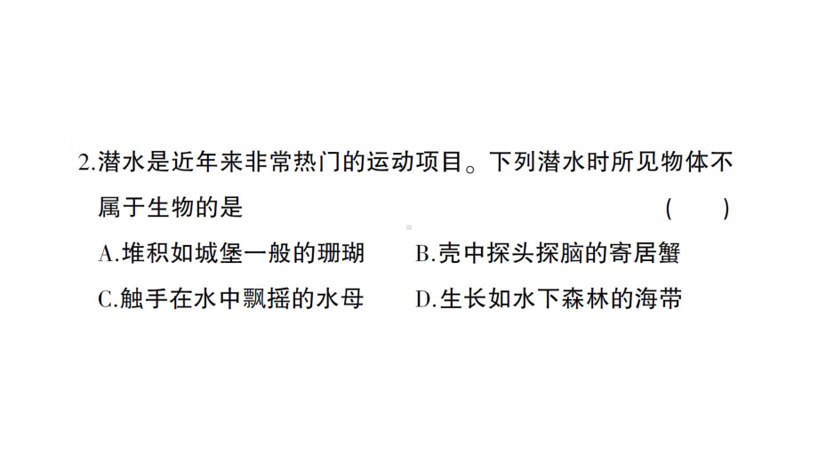 初中生物新人教版七年级上册期中综合检测课件2024秋.pptx_第3页