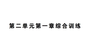 初中生物新人教版七年级上册第二单元第一章 植物的类群综合训练作业课件2024秋.pptx