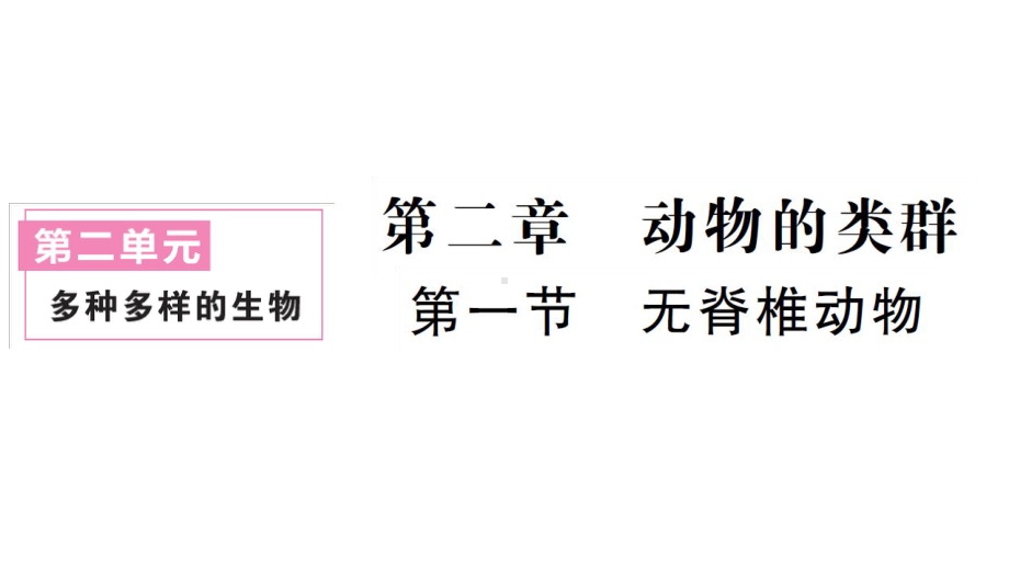 初中生物新人教版七年级上册第二单元第二章第一节 无脊椎动物作业课件2024秋.pptx_第1页