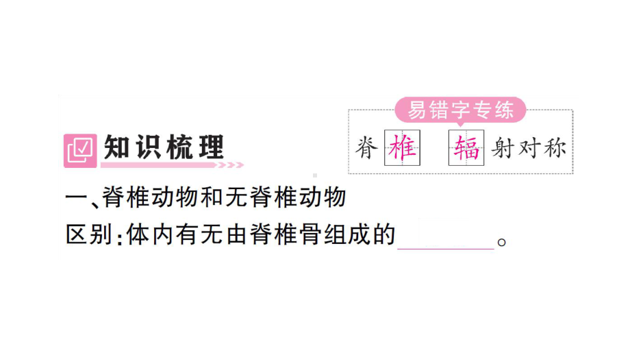 初中生物新人教版七年级上册第二单元第二章第一节 无脊椎动物作业课件2024秋.pptx_第2页