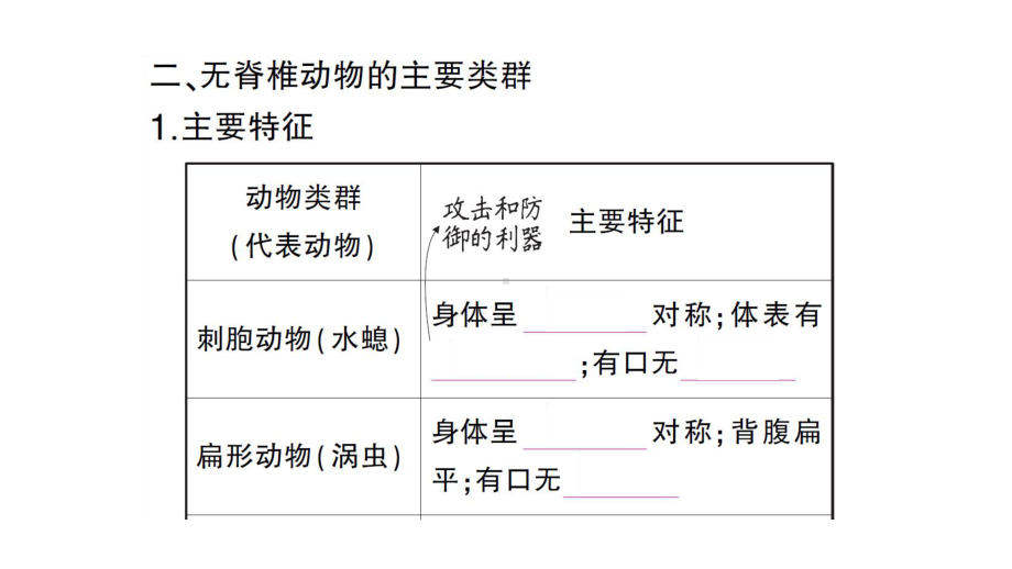 初中生物新人教版七年级上册第二单元第二章第一节 无脊椎动物作业课件2024秋.pptx_第3页