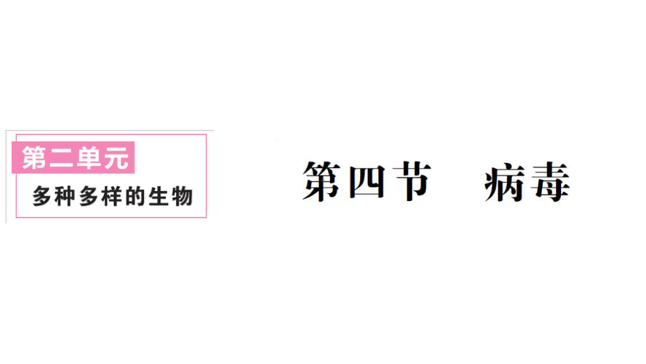 初中生物新人教版七年级上册第二单元第三章第四节 病毒作业课件2024秋.pptx_第1页