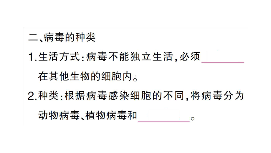 初中生物新人教版七年级上册第二单元第三章第四节 病毒作业课件2024秋.pptx_第3页