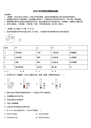 江苏省南通市紫石中学2024年中考二模化学试题含解析.doc