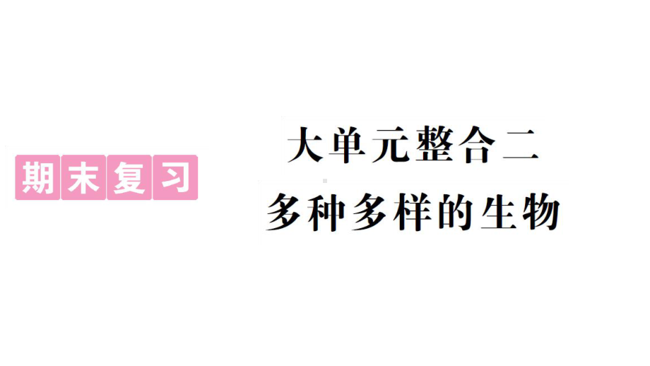 初中生物新人教版七年级上册期末大单元整合二 多种多样的生物作业课件2024秋.pptx_第1页