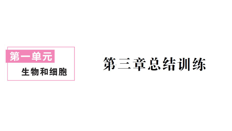 初中生物新人教版七年级上册第一单元第三章 从细胞到生物体总结训练作业课件2024秋.pptx_第1页