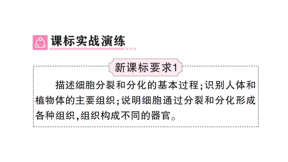 初中生物新人教版七年级上册第一单元第三章 从细胞到生物体总结训练作业课件2024秋.pptx_第3页