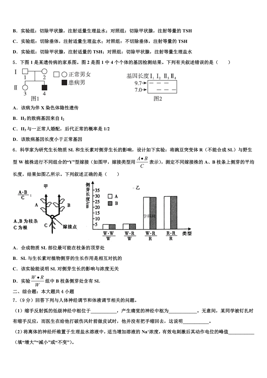 广西南宁市“4N”高中联合体2024届高考适应性考试生物试卷含解析.doc_第2页