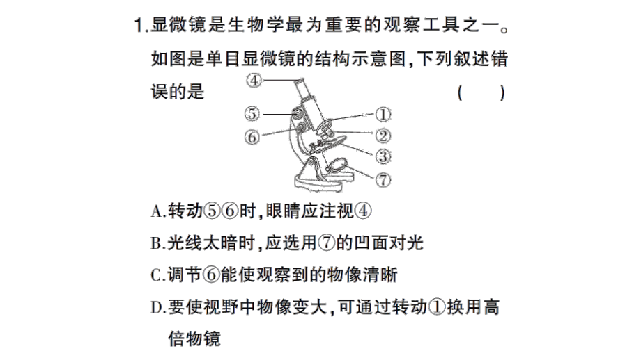 初中生物新北师大版七年级上册期末识图理解题作业课件2024秋.pptx_第2页