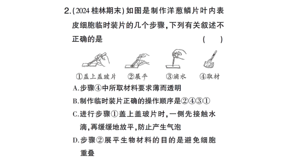 初中生物新北师大版七年级上册期末识图理解题作业课件2024秋.pptx_第3页