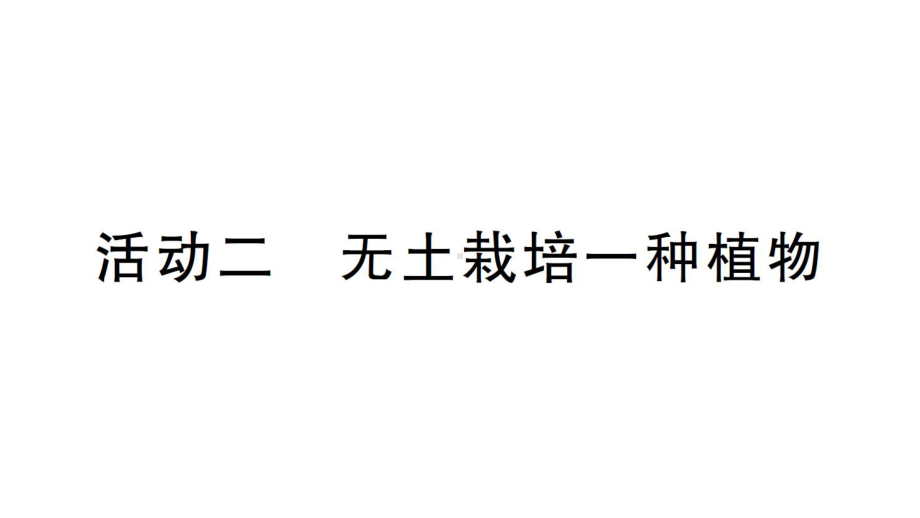 初中生物新北师大版七年级上册活动二 无土栽培一种植物作业课件2024秋.pptx_第1页