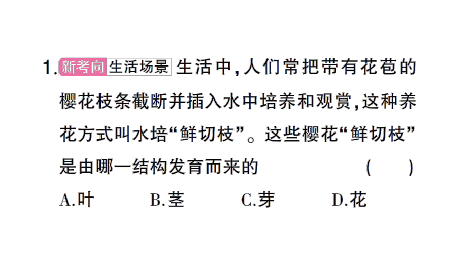 初中生物新北师大版七年级上册第3单元第5章微专题三 绿色开花植物的一生作业课件2024秋.pptx_第2页