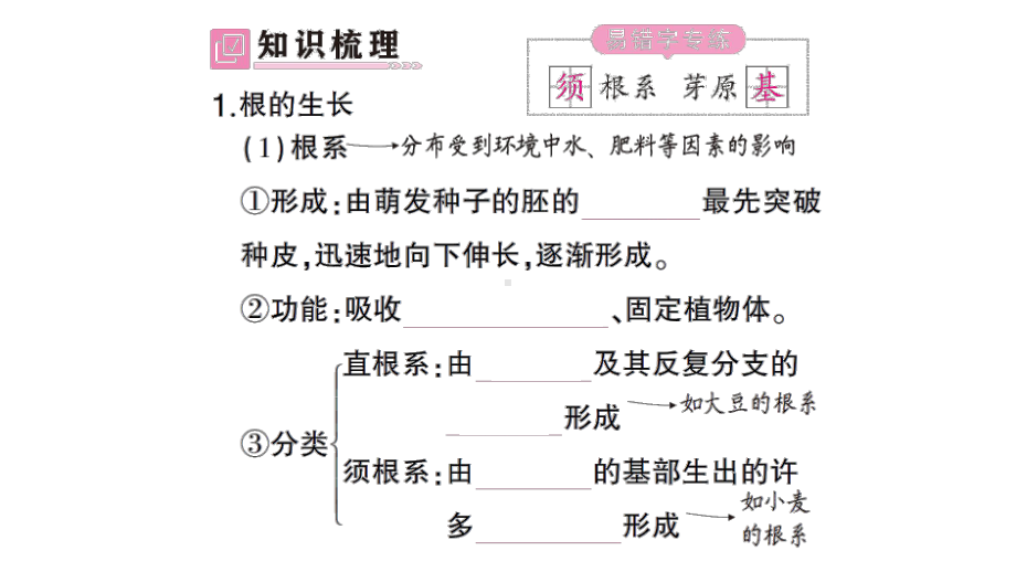 初中生物新北师大版七年级上册第3单元第5章第2节 营养器官的生长作业课件2024秋.pptx_第2页