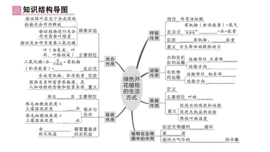 初中生物新北师大版七年级上册第3单元第4章 绿色开花植物的生活方式总结训练作业课件2024秋.pptx_第2页