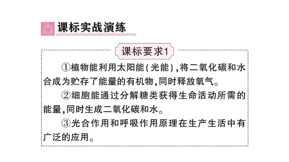 初中生物新北师大版七年级上册第3单元第4章 绿色开花植物的生活方式总结训练作业课件2024秋.pptx_第3页