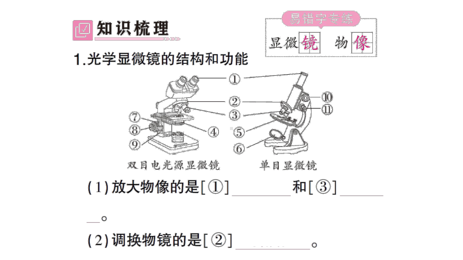 初中生物新北师大版七年级上册第2单元第2章第1节第1课时 显微镜的使用作业课件2024秋.pptx_第2页