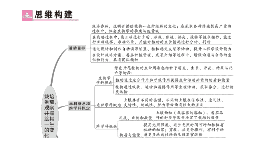 初中生物新北师大版七年级上册活动一 栽培番茄观察并描绘其一生的变化作业课件2024秋.pptx_第2页