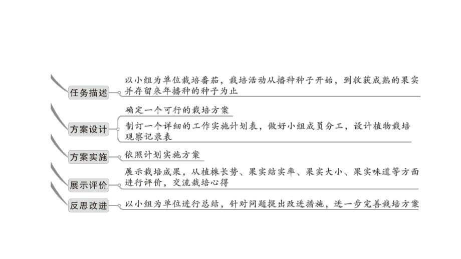 初中生物新北师大版七年级上册活动一 栽培番茄观察并描绘其一生的变化作业课件2024秋.pptx_第3页