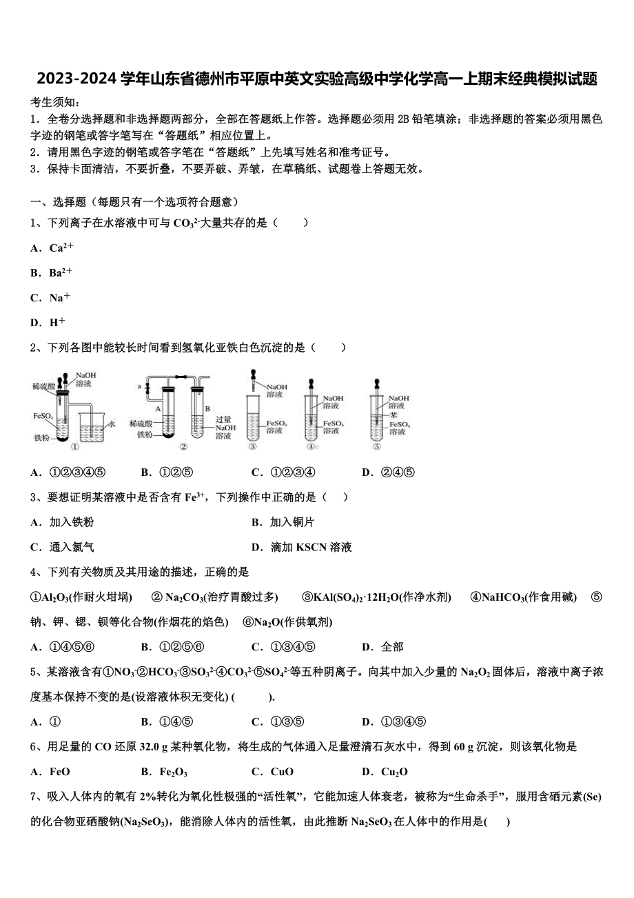 2023-2024学年山东省德州市平原中英文实验高级中学化学高一上期末经典模拟试题含解析.doc_第1页