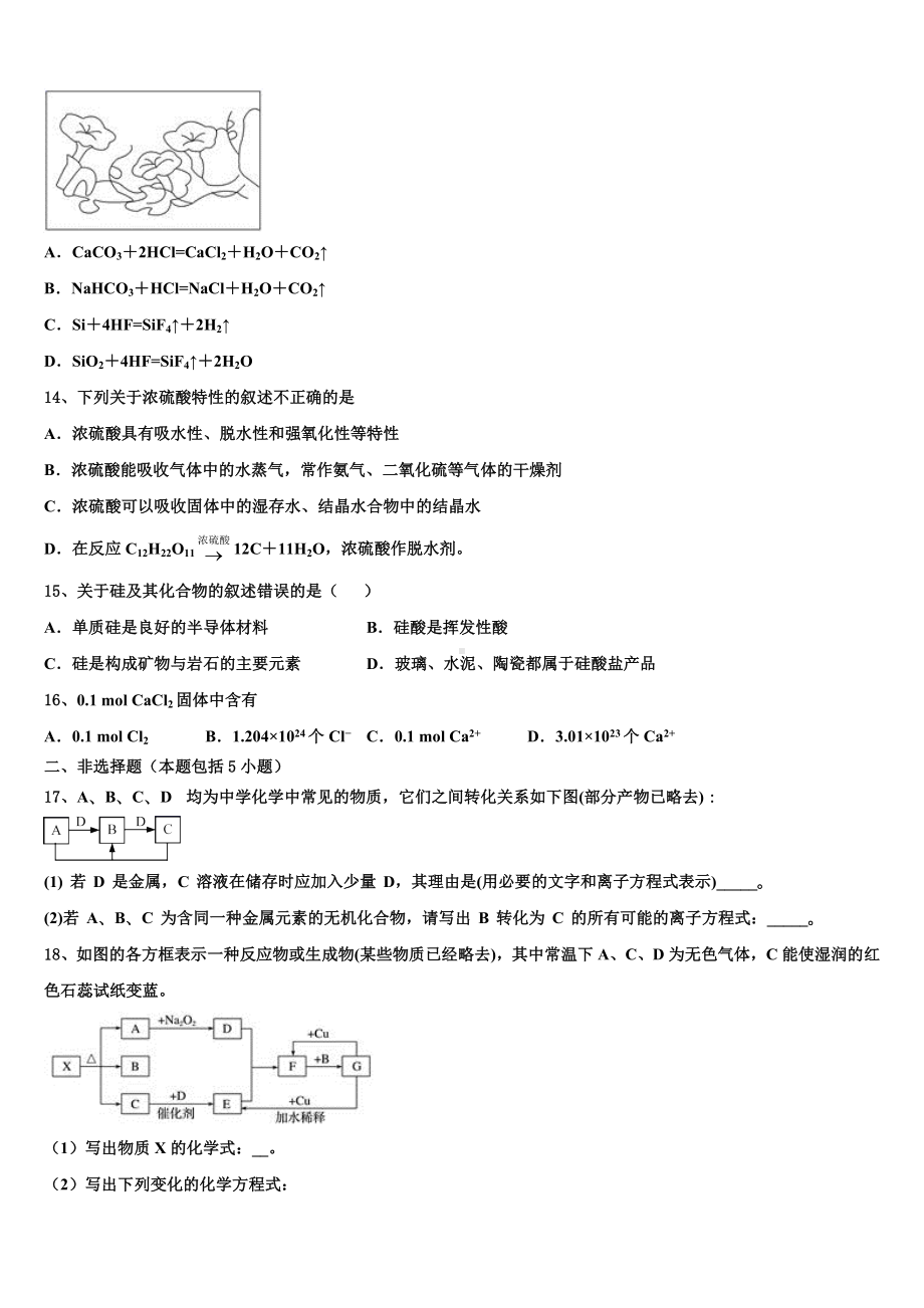 2023-2024学年山东省德州市平原中英文实验高级中学化学高一上期末经典模拟试题含解析.doc_第3页