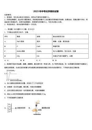 2023届甘肃省会宁县中考化学模拟试题含解析.doc