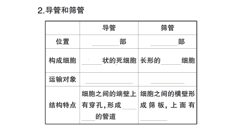 初中生物新北师大版七年级上册第3单元第4章第4节 运输作用作业课件2024秋.pptx_第3页