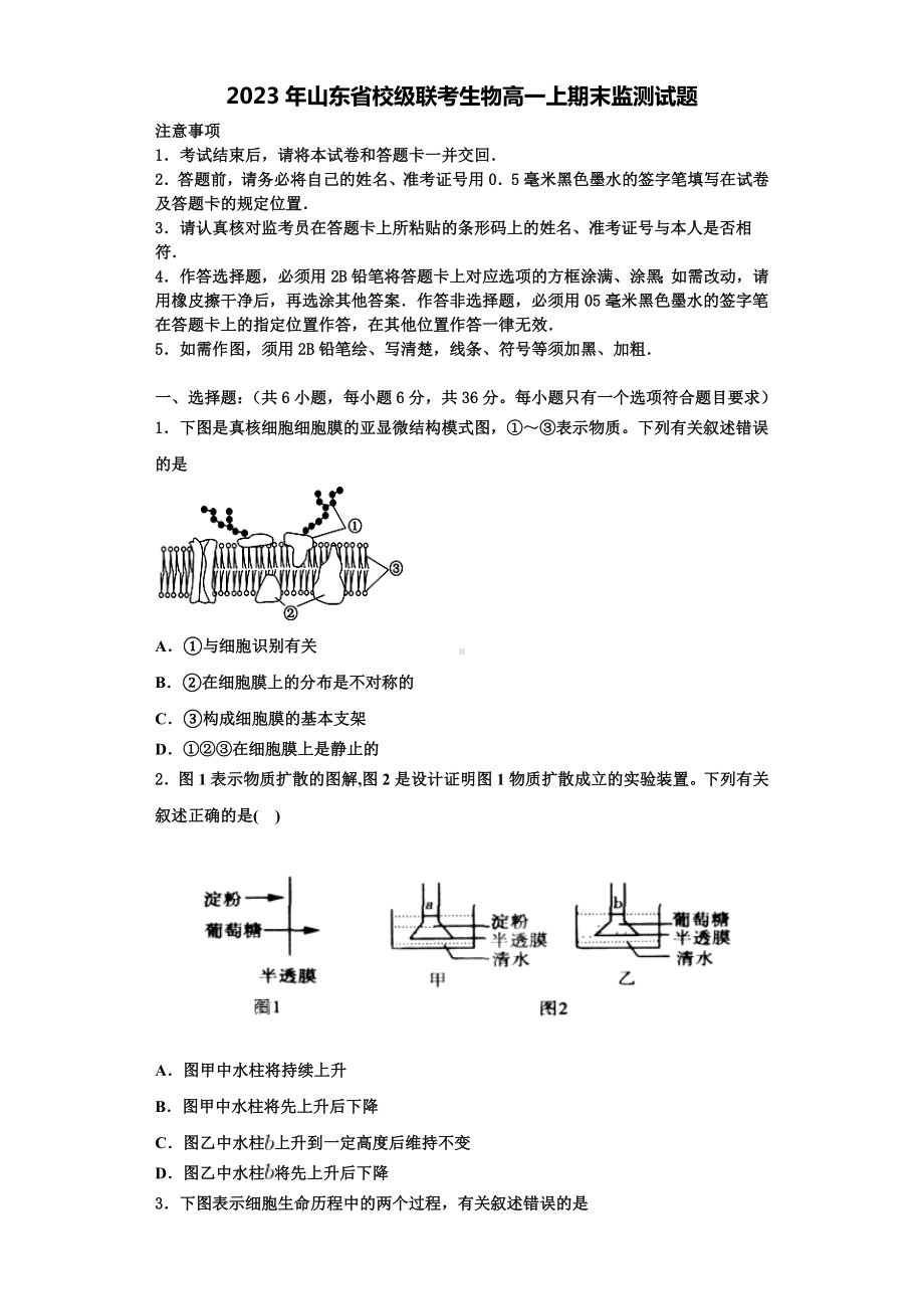 2023年山东省校级联考生物高一上期末监测试题含解析.doc_第1页