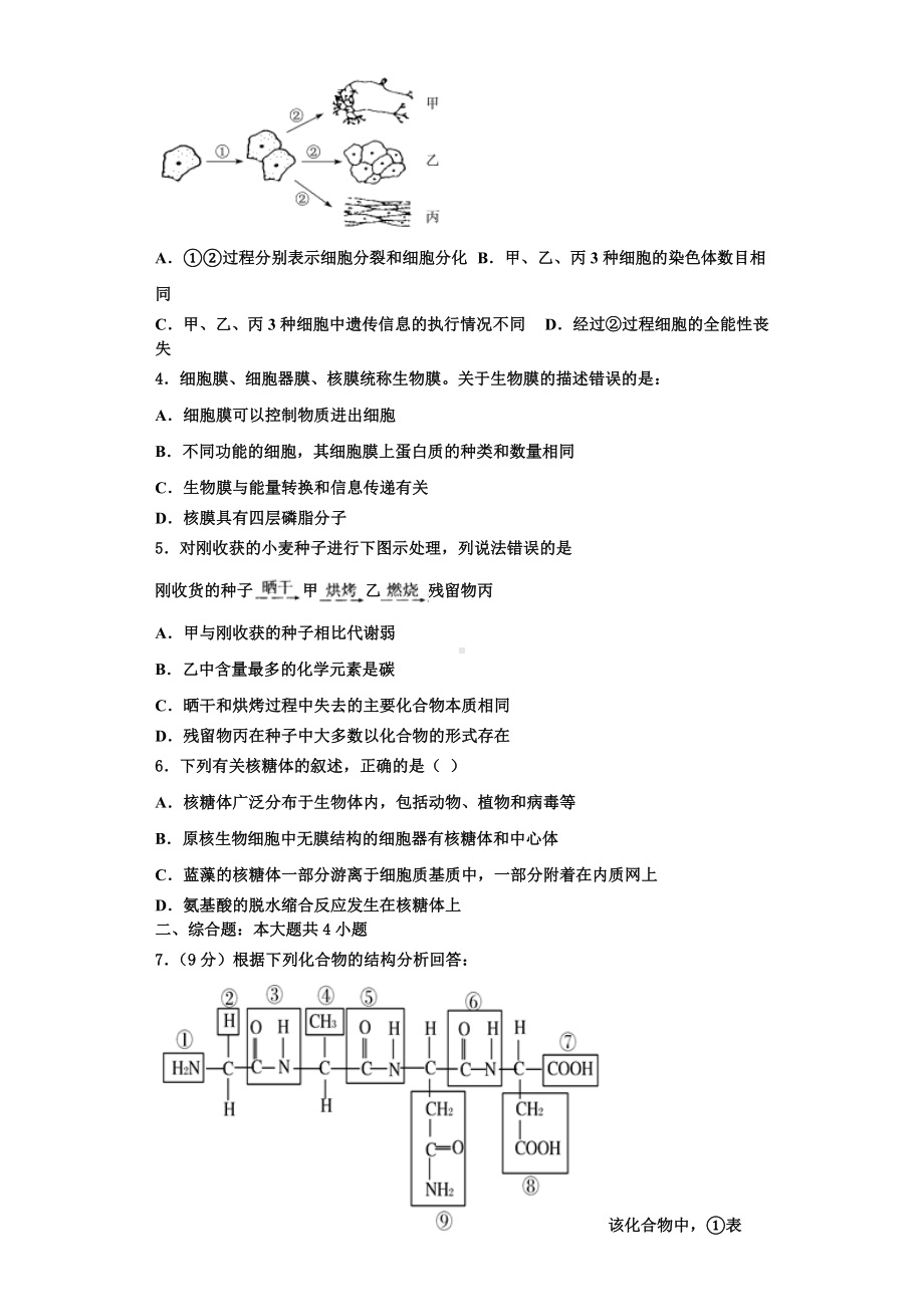 2023年山东省校级联考生物高一上期末监测试题含解析.doc_第2页