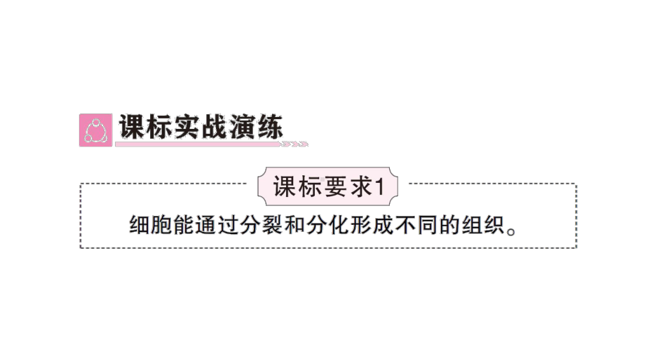 初中生物新北师大版七年级上册第2单元第3章 生物体的结构层次总结训练作业课件2024秋.pptx_第3页