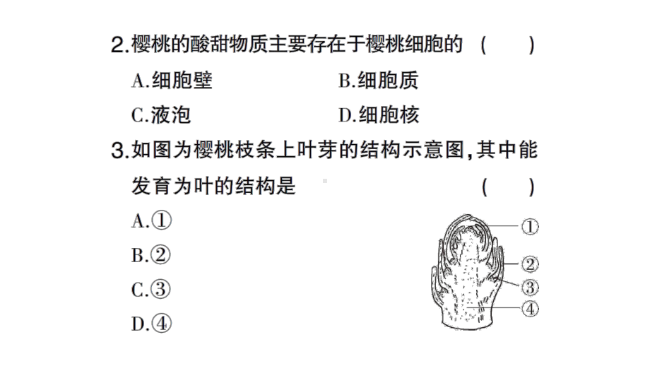 初中生物新北师大版七年级上册期末主题情境题作业课件2024秋.pptx_第3页